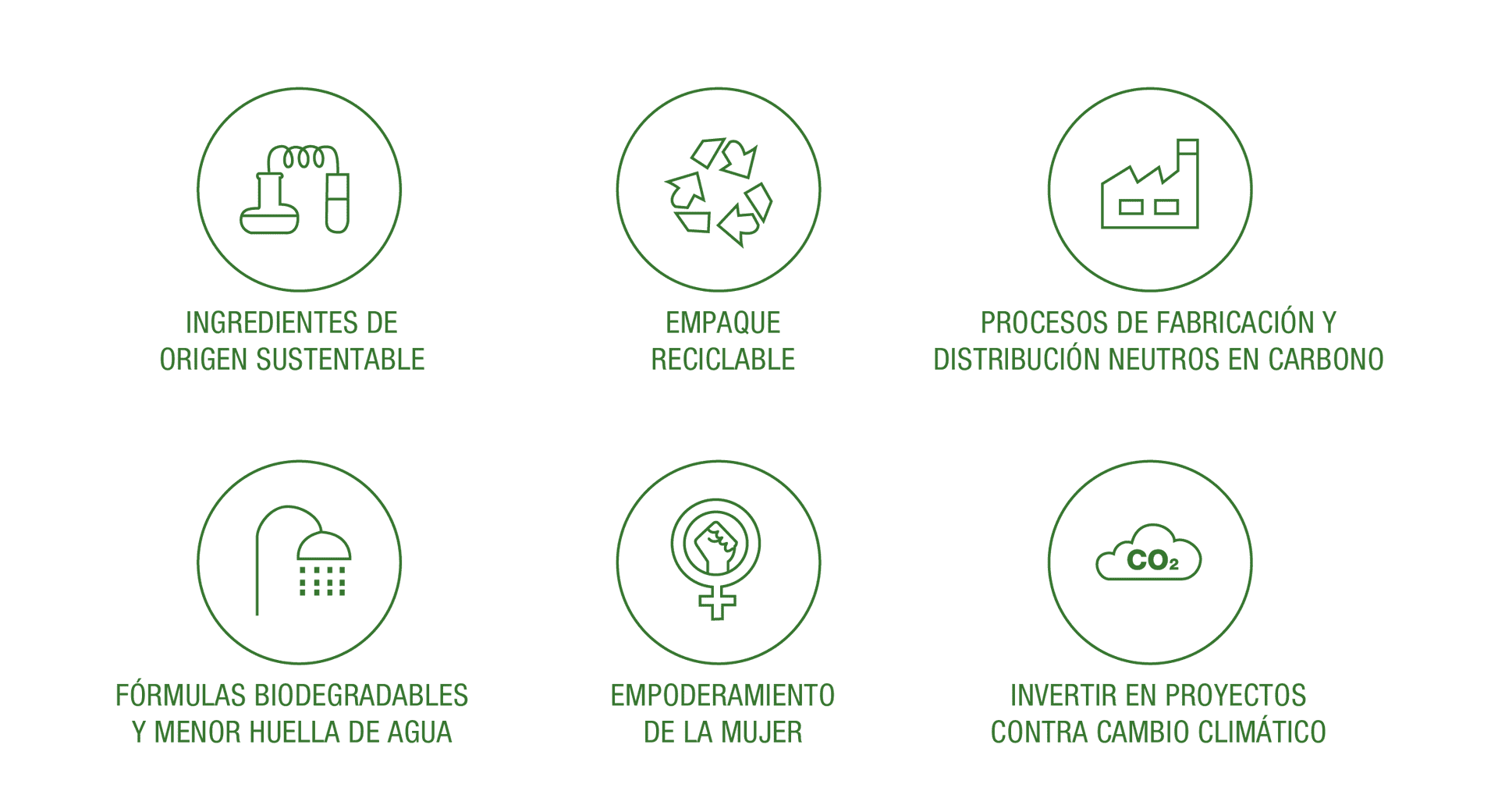 Caracteristicas Loreal Por El Futuro